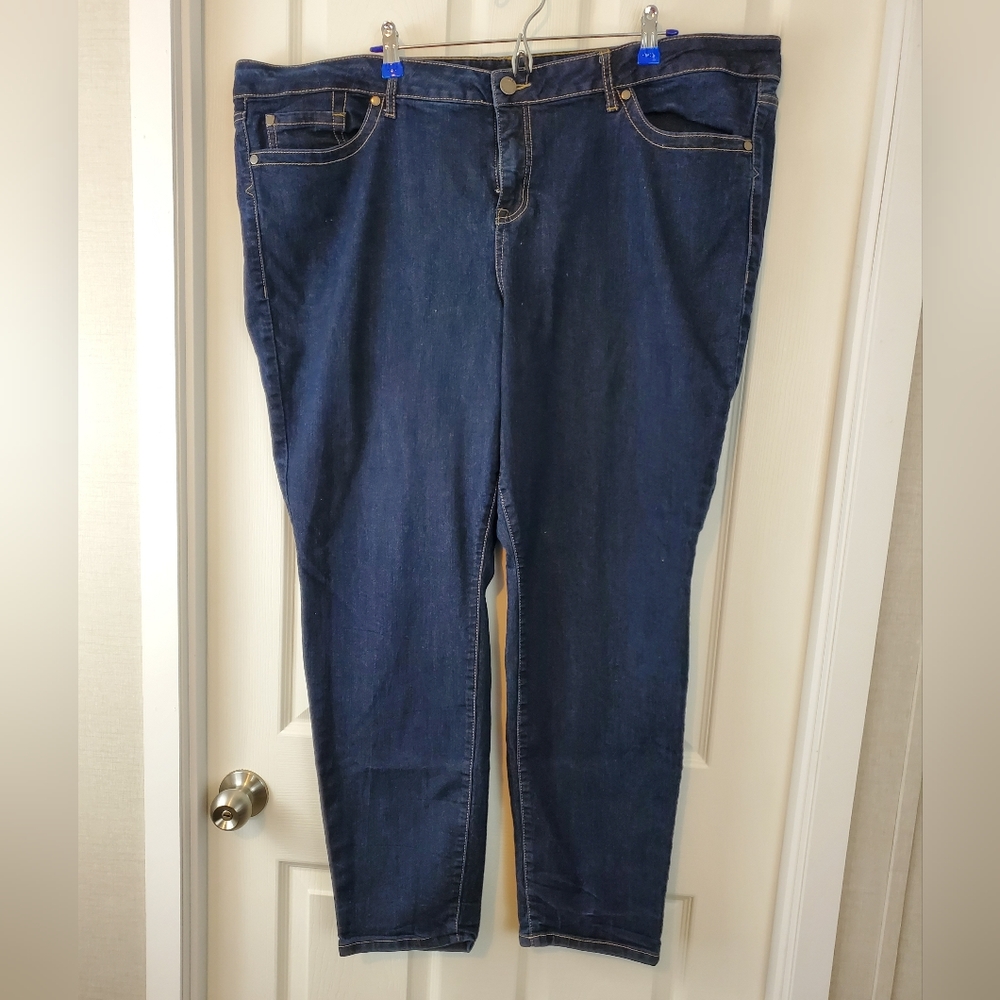 Torrid Skinny Leg Jeans